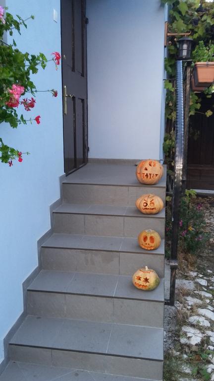 Blue House Hotell Braşov Rom bilde
